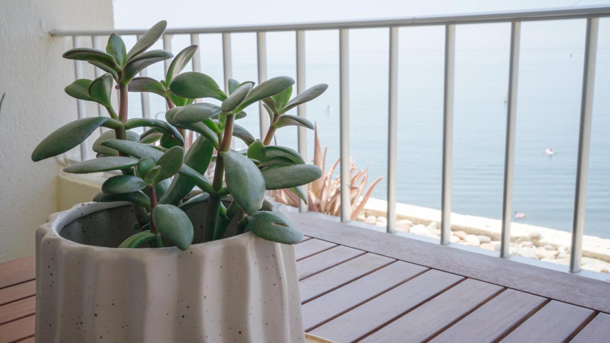 Apartamento Brisa Del Mar Almuñécar エクステリア 写真